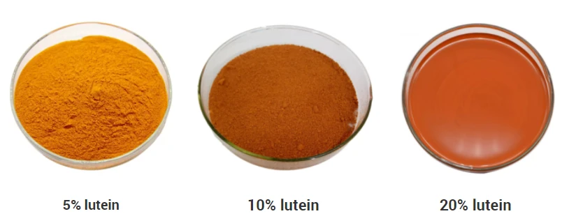 feed additives marigold extract