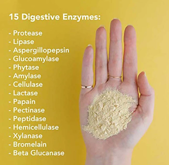 Bulk Digestive Enzymes Powder Bulk Digestive Enzymes Powder