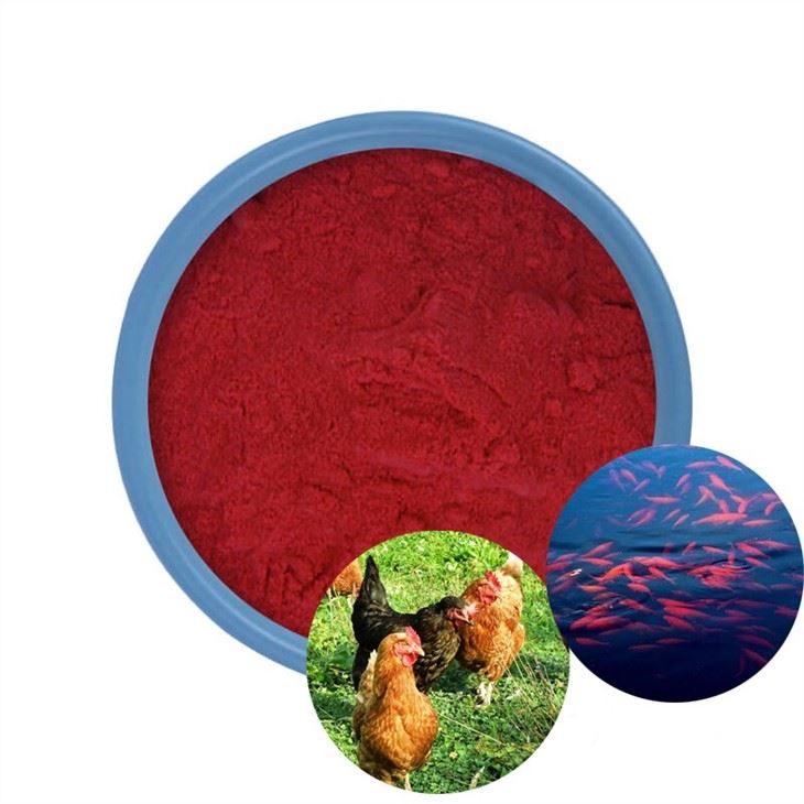 Bubuk Astaxanthin 10%