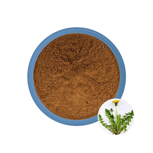 Bubuk Ekstrak Dandelion