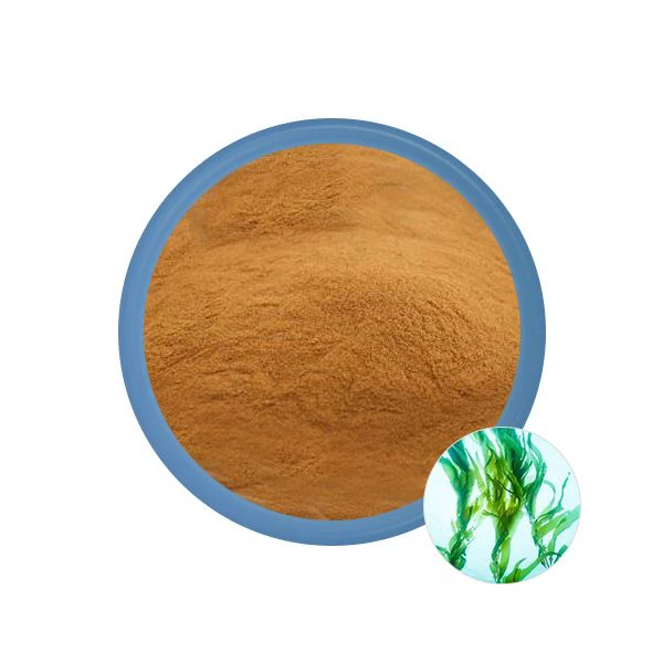 Seaweed Extract Powder