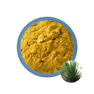 Ekstrak Daun Yucca