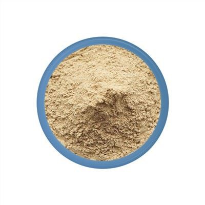 Bubuk probiotik subtilis Bacillus