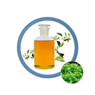 Minyak Oregano Carvacrol