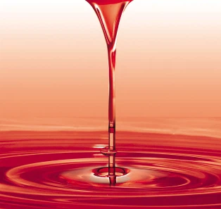 Makanan Astaxanthin