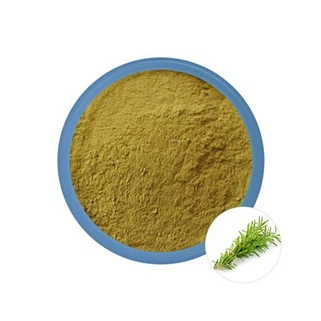 Bubuk rosemary curah