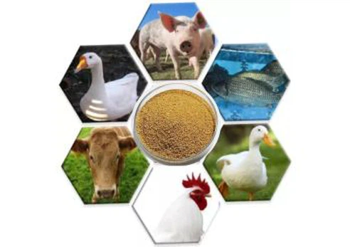 Choline Chloride Corn Cob Powder supplier Choline Chloride Corn Cob Powder supplier