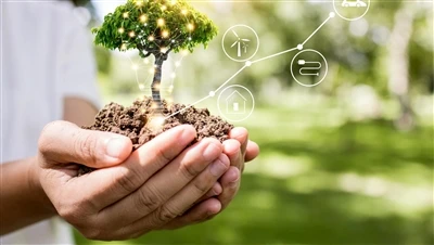 Meningkatkan resistensi tanaman dengan teh saponin-biostimulan alami yang kuat