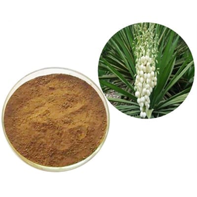 Cara menggunakan bubuk ekstrak yucca untuk kesehatan pencernaan yang optimal ...