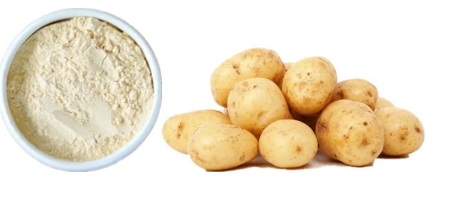 Protein Kentang